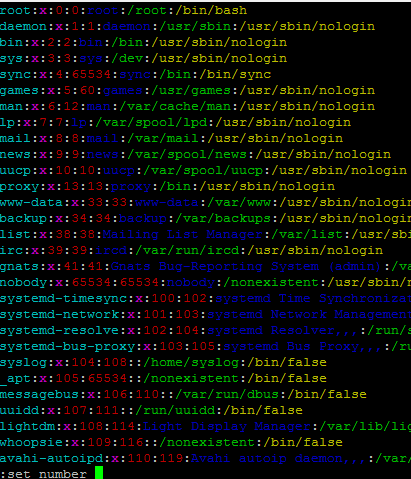 show line number in vim1