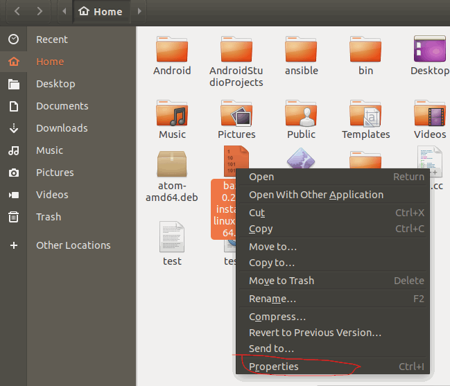 install bin file5