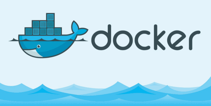 install and use docker1