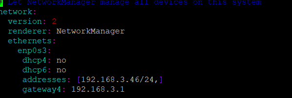 configure static ip with netplan1