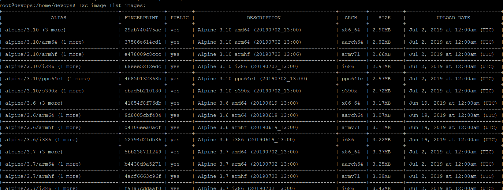 install lxc container1