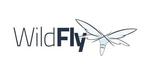 install wildfly ubuntu4