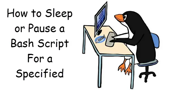 Pause a Bash Script For a Specified Time1