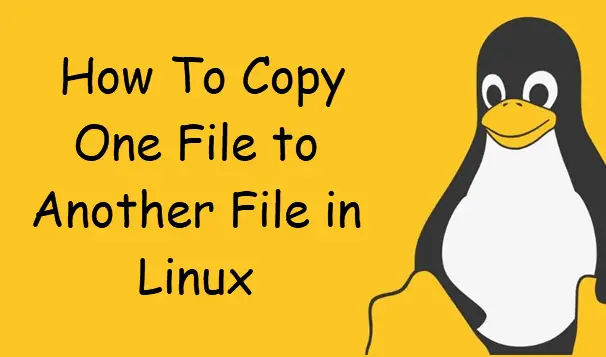 copy one file to another file linux1