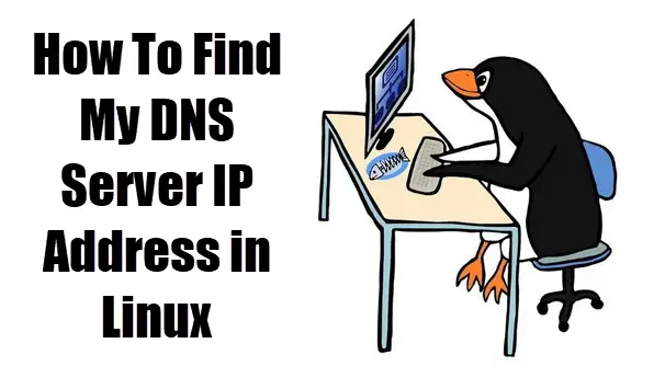 find dns server ip address1