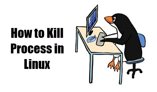 kill process in linux1