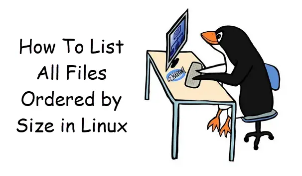 list all files by size linux1