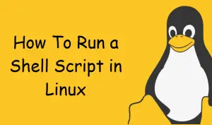 How To Run a Shell Script in Linux - OSETC TECH