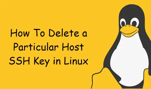 Delete a Particular Host SSH Key in Linux 1
