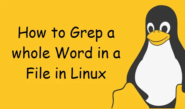 How to Grep a whole Word in a File in Linux1