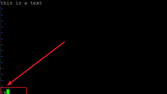 save a file using vi vim text editor1