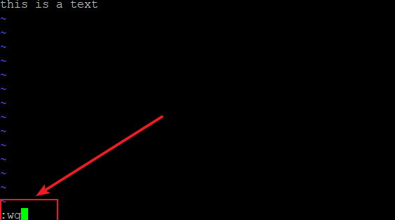 save a file using vi vim text editor2